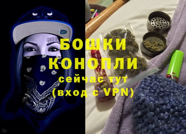 индика Бугульма