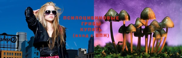 индика Бугульма