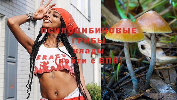 МДМА Бородино
