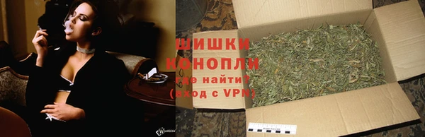 PSILOCYBIN Бронницы