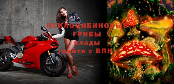 индика Бугульма