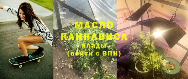 индика Бугульма