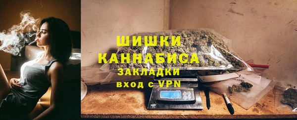индика Бугульма