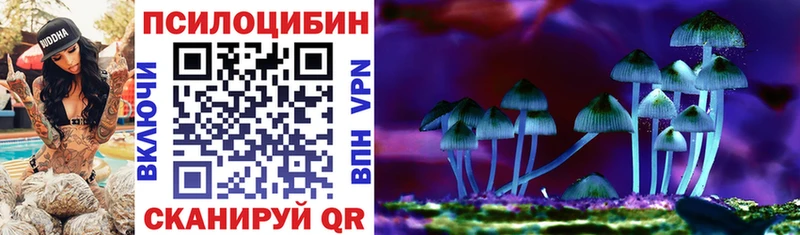 Псилоцибиновые грибы мицелий  Черноголовка 