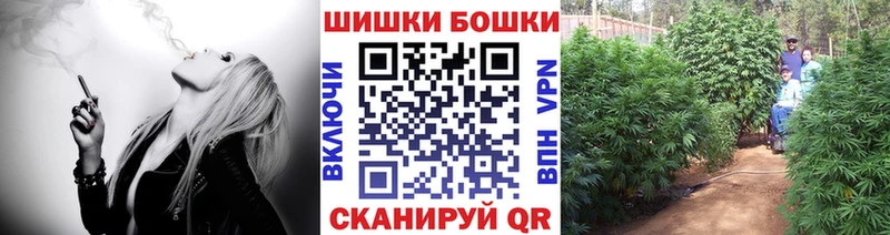 MEGA как зайти  Черноголовка  МАРИХУАНА SATIVA & INDICA 